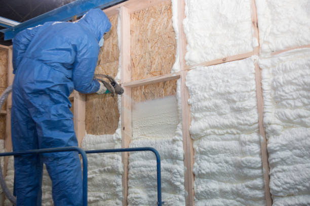 Best Attic Insulation Installation  in Madeira Beach, FL